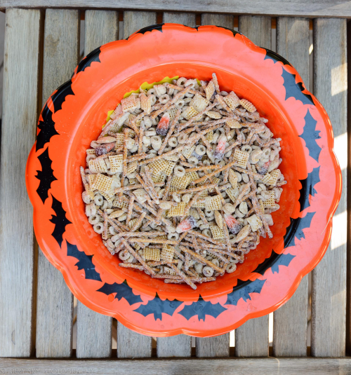 Oct 2016 pumpkins web  (1 of 7)