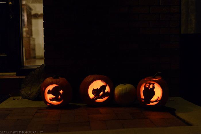 Oct 2016 pumpkins web  (7 of 7)