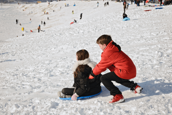 Dec 2016 sled color web (1 of 1)