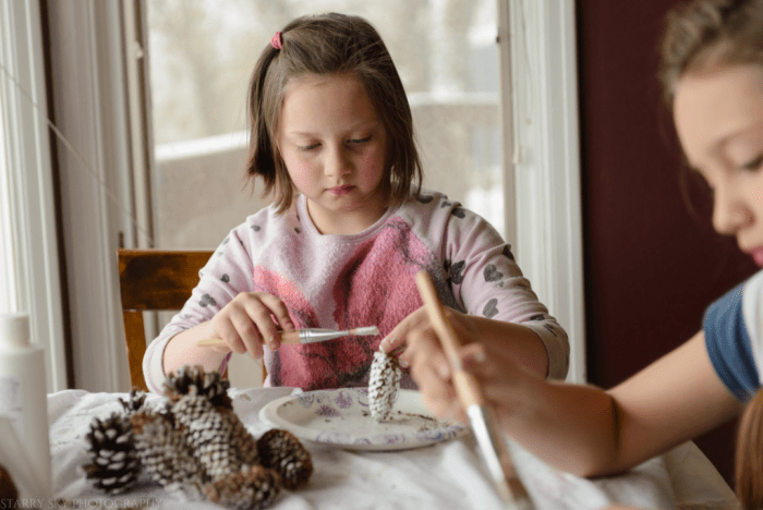 Dec 2016 pinecones web (1 of 3)