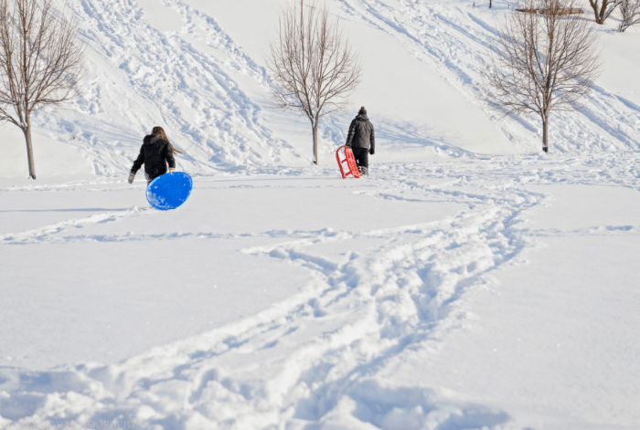 Dec 2016 sled color web (1 of 1)-2