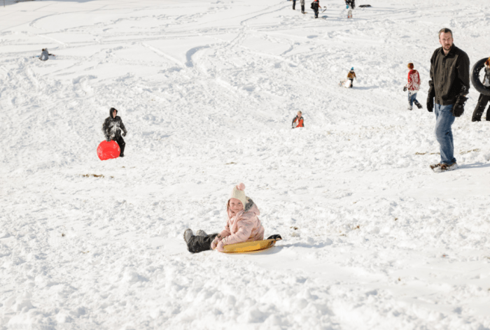 Dec 2016 sled web (1 of 9)