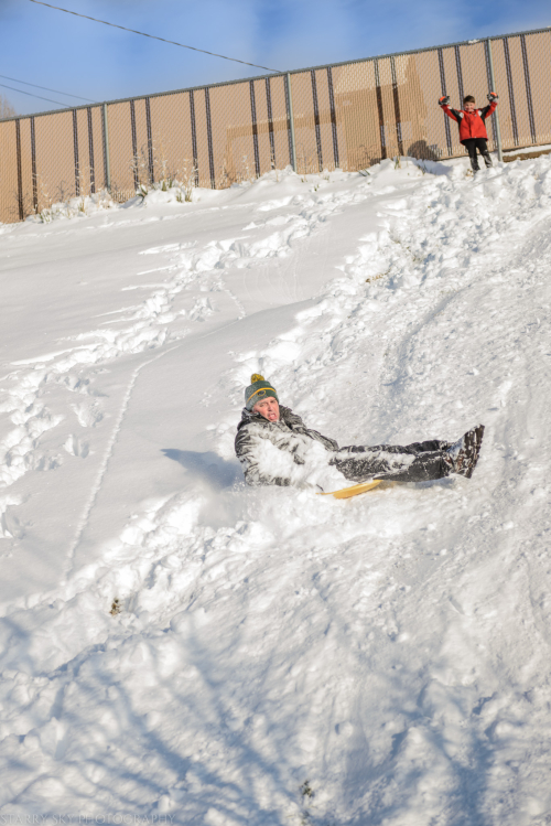 Dec 2016 sled web (2 of 5)