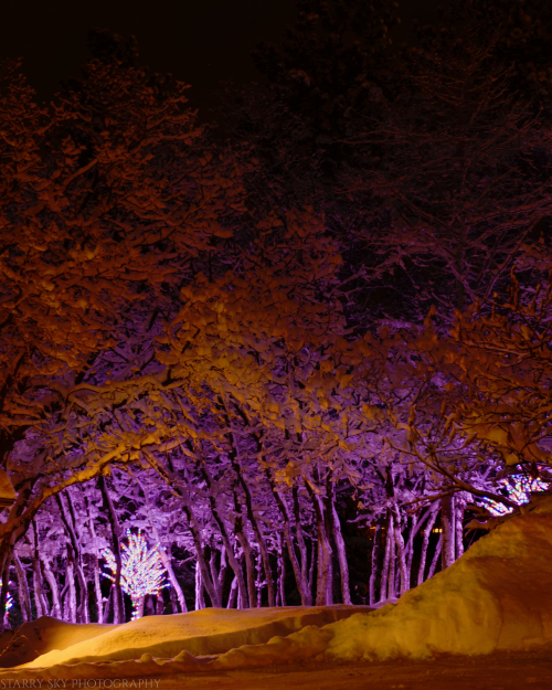 Dec 2016 christmas gifts web (1 of 1)-5