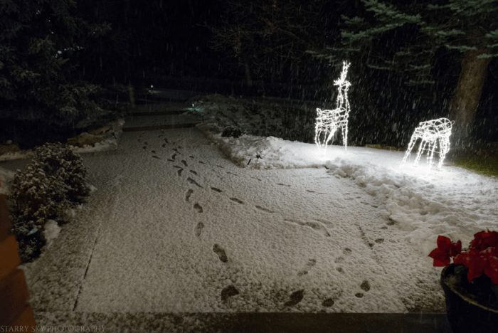 Dec 2016 christmas eve web (6 of 11)