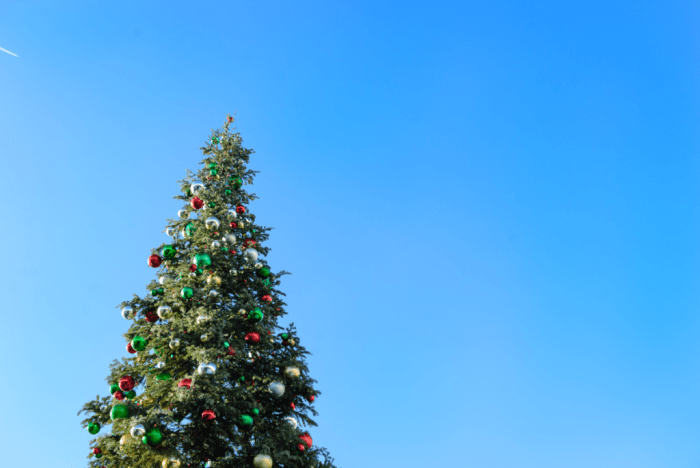 Dec 2016 skating web (1 of 1)