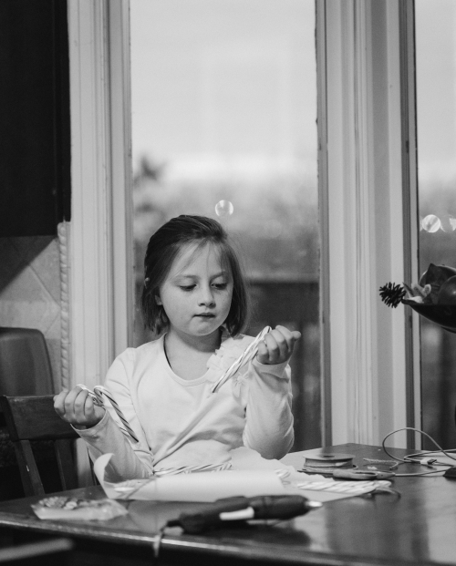 Dec 2016 candy canes web (1 of 1)