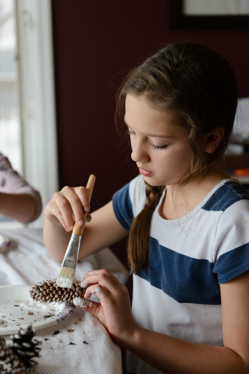 Dec 2016 pinecones web (2 of 3)