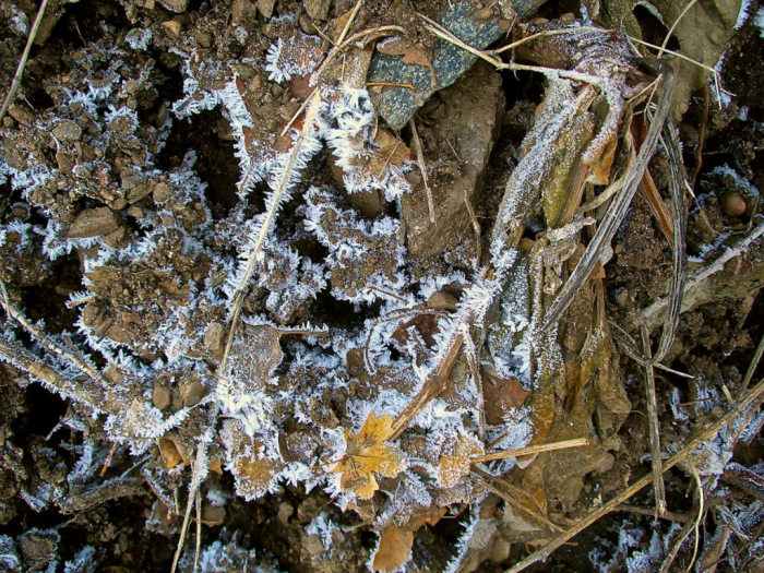 16121589_1472008752811364_907881357_o