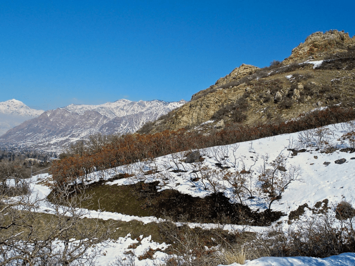 16145339_1472008662811373_102801291_o