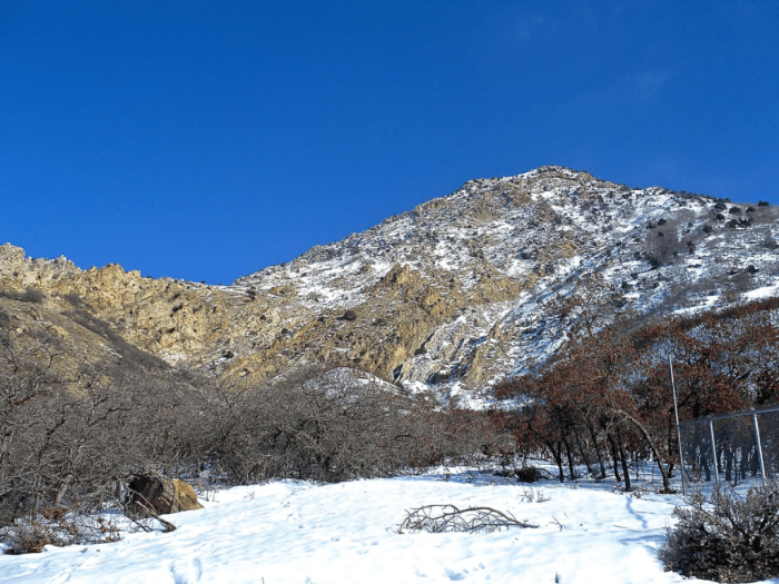 16145351_1472016979477208_1631600175_o