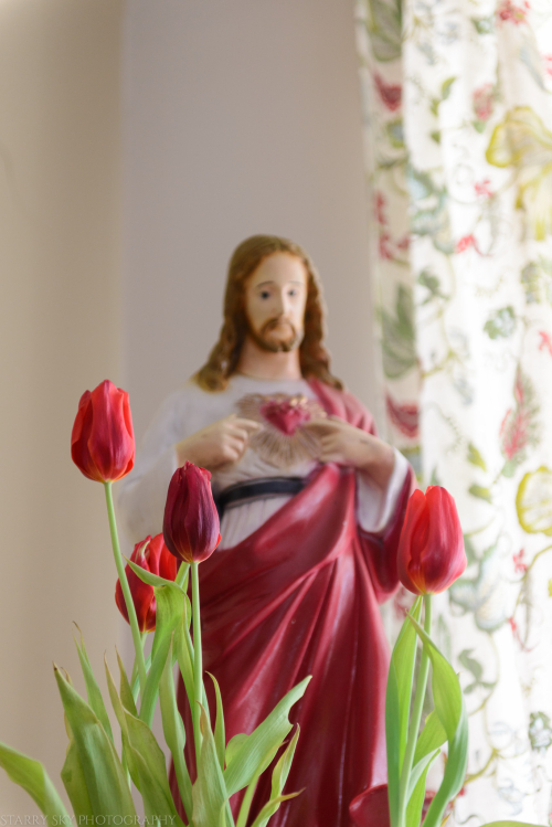 Feb 2017 tulips web (1 of 1)