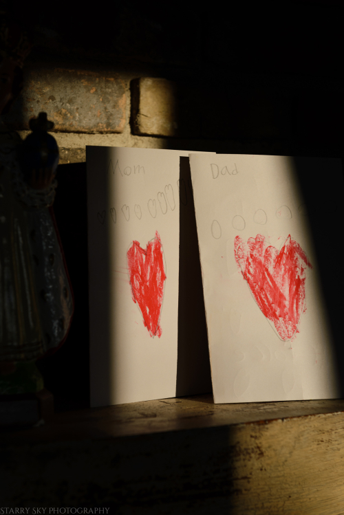 Feb 2017 valentines web (6 of 6)