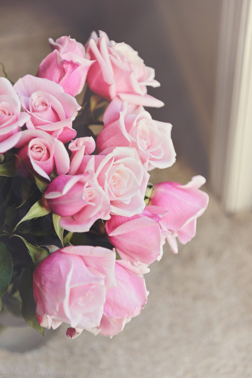 Feb 2017 Moira wedding prep web (11 of 11)