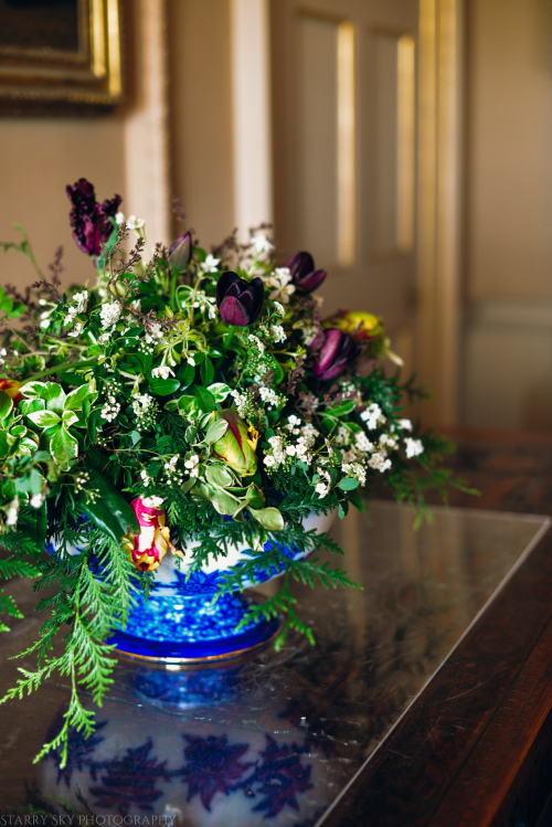 2014 england flowers web (1 of 1)