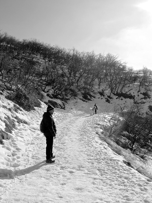 16144954_1472008902811349_2101793712_o