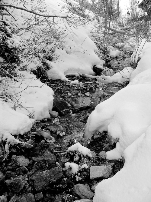 16122072_1472008899478016_747214827_o