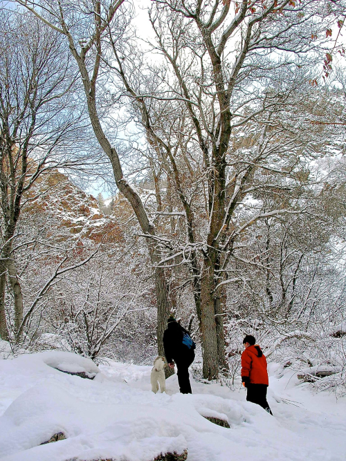 16129924_1472009316144641_196308235_o