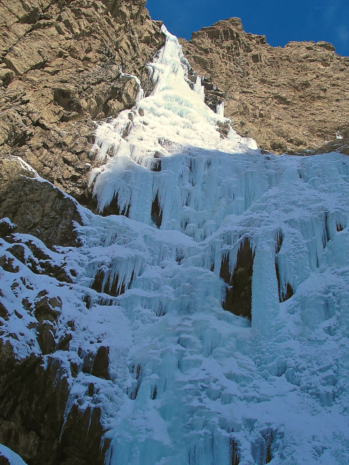 16122073_1472014752810764_538393934_o