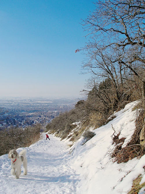 16121420_1472016039477302_700101499_o