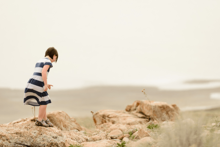 Mar 2017 island lizard web (2 of 2)