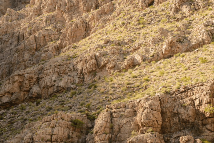 Apr 2017 emus web (5 of 5)