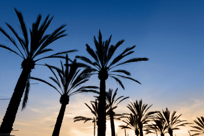 Apr 2017 long beach pier (5 of 6)
