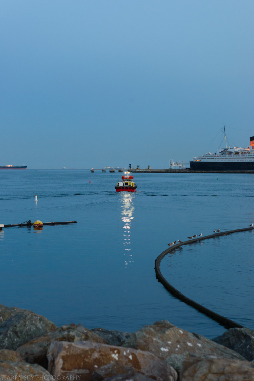 Apr 2017 long beach pier (5 of 6)
