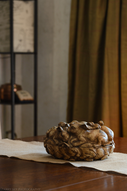 Mar 2017 bunnies web (2 of 2)