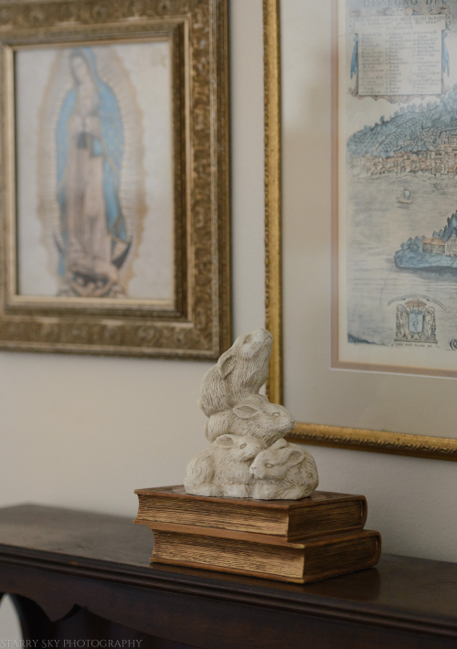 Mar 2017 bunnies web (2 of 2)