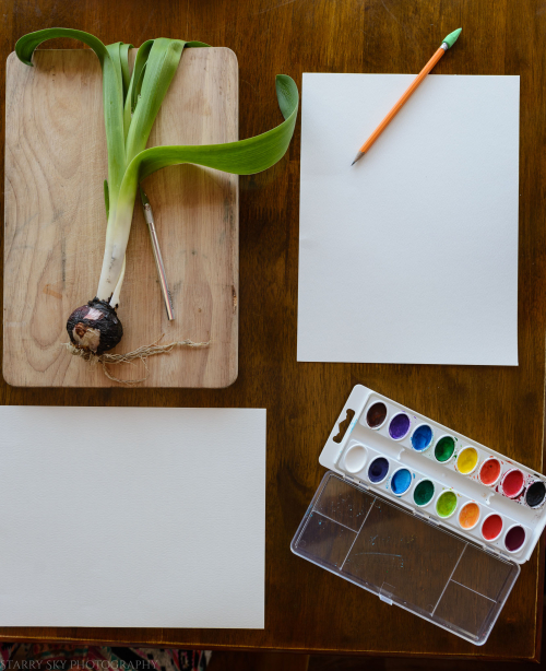 Mar 2017 cross sections web (4 of 4)