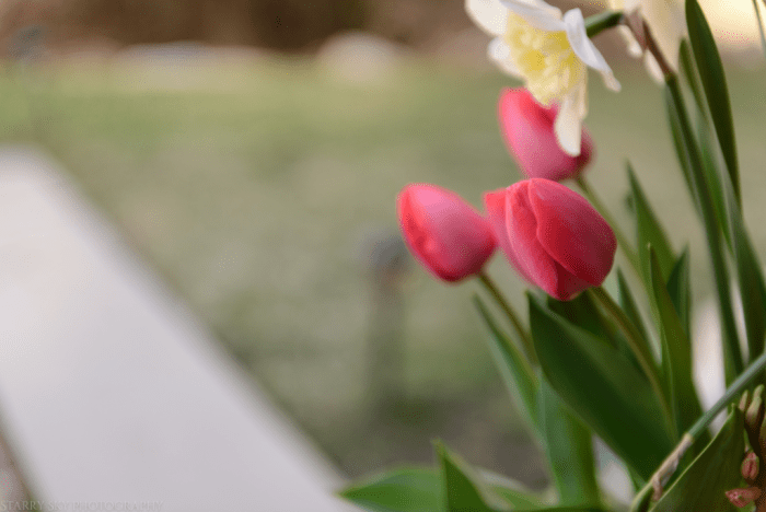 Mar 2017 cross sections web (4 of 4)