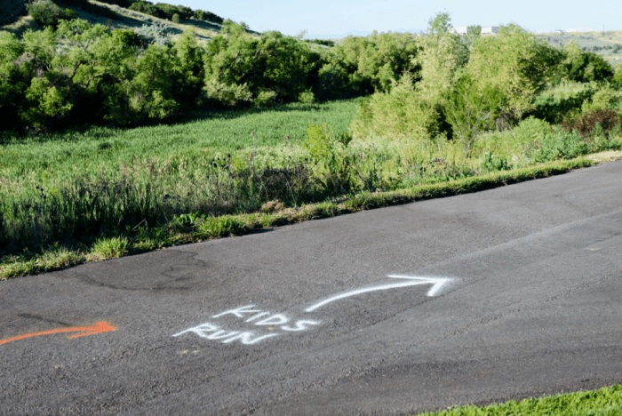 Jun 2017 festival web (1 of 1)-4