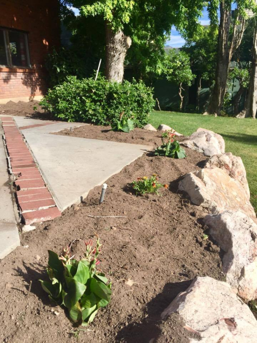 19415731_1524142700949835_791710352_n