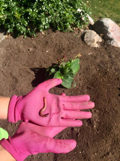 19416065_1524129010951204_1410670471_n