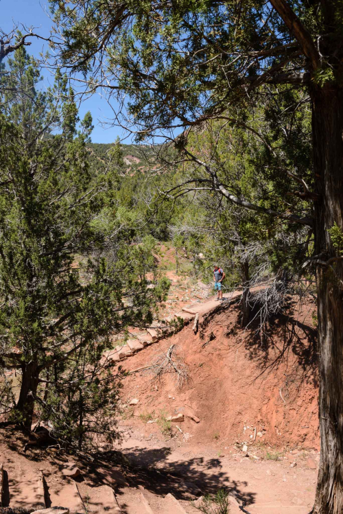 Jun 3017  zion floor hike web (8 of 8)