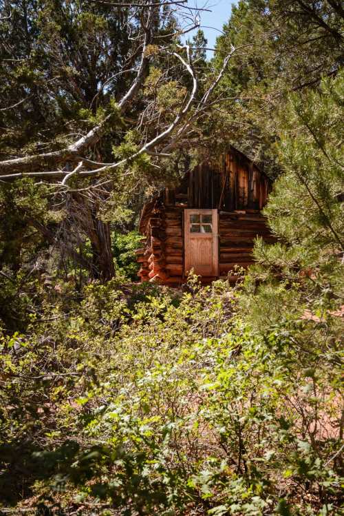 Jun 3017  zion floor hike web (8 of 8)