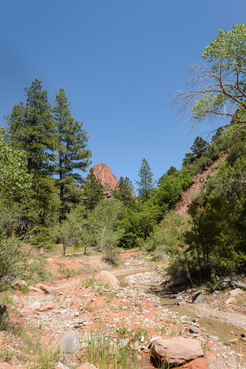 Jun 3017  zion floor hike web (8 of 8)