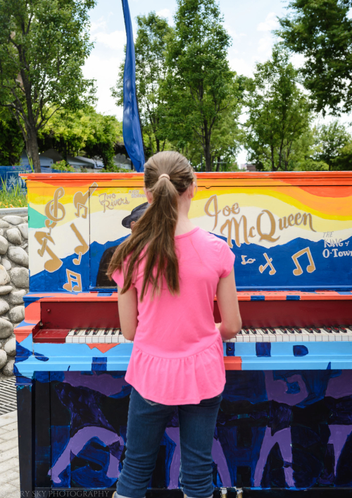 Jun 3017  arts fest web (6 of 6)