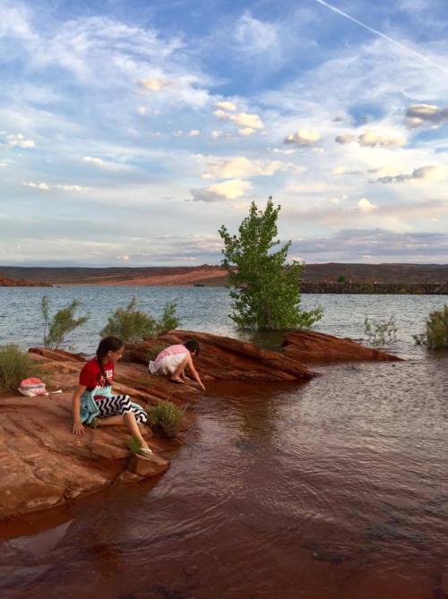 19668174_1537267389637366_1584372726_n