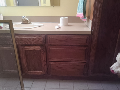 Aug 2017 bathroom paint  web (7 of 8)