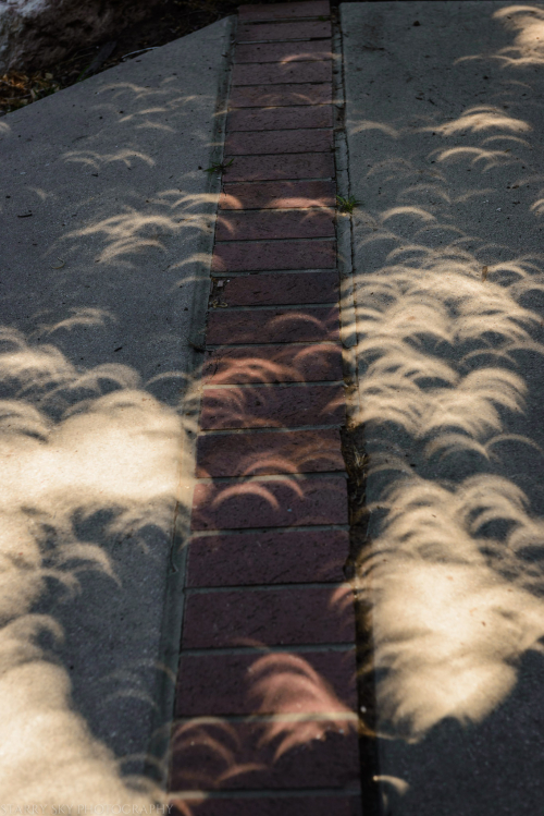 Aug 2017 eclipse web (8 of 17)