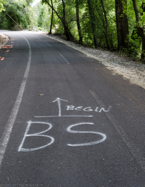 Jul  2017 soccer web (1 of 1)