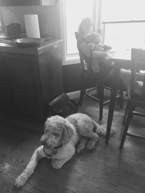 Sept 2017 fire aircrew web (1 of 2)