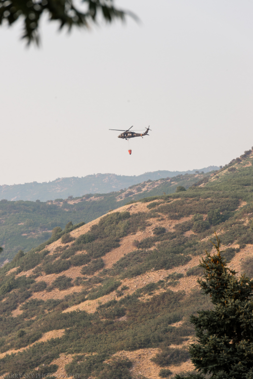 Sept 2017 fire  web (4 of 5)