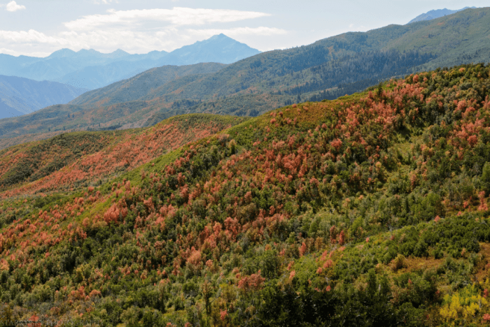 Sept 2017 alpine loop web (4 of 4)
