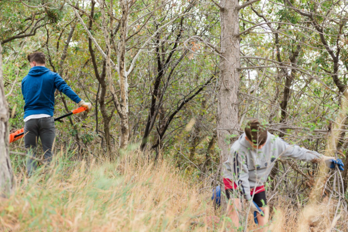 Sept 2017 hands leaves web (5 of 6)