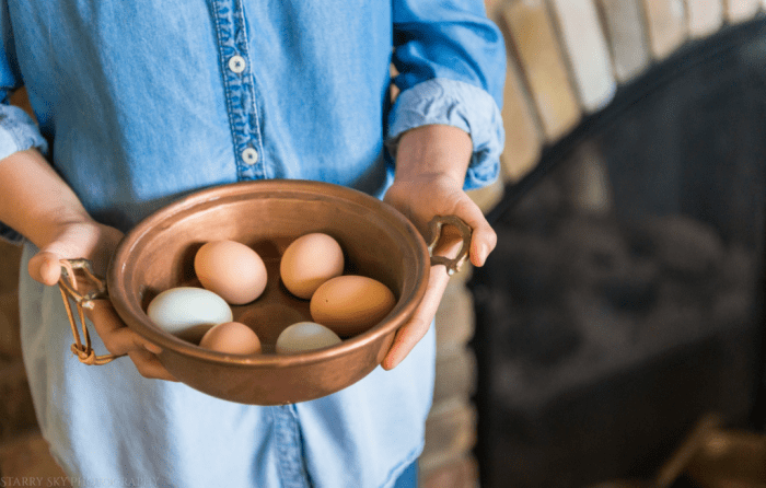 Oct 2017 eggs web (1 of 1)