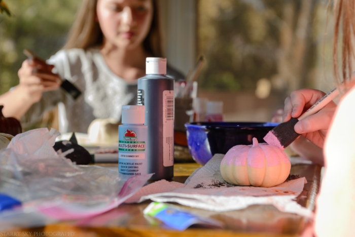 Oct 2017 pumpkin donut web (1 of 1)