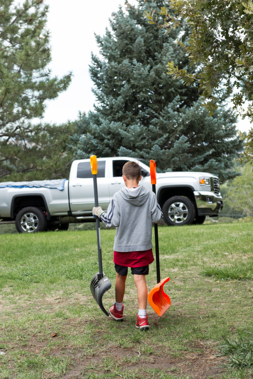 Sept 2017 brush web (1 of 7)